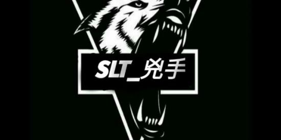 Imagem do grupo de WhatsApp 𝙎𝙇𝙏_兇手