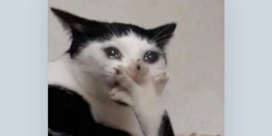 Imagem do grupo de WhatsApp Só os d vdd