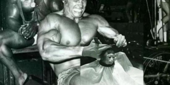 Imagem do grupo de WhatsApp ENTRA AI SE TU E MACHO💪🗿