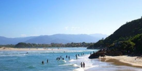 Imagem do grupo de WhatsApp Pinheira/Guarda/Centrinho