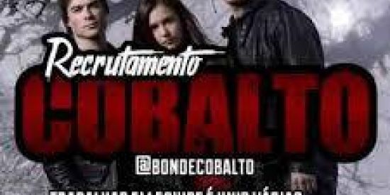 Imagem do grupo de WhatsApp 🥳|• GANHE SEGUIDORES