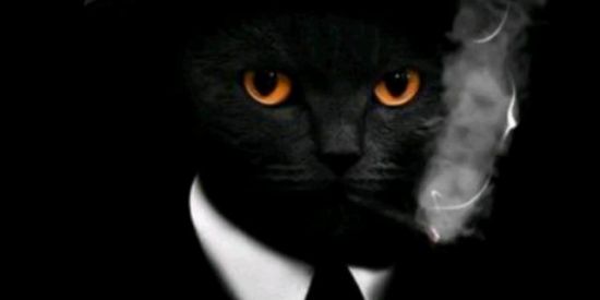 Imagem do grupo de WhatsApp Visualização nos status e amizade