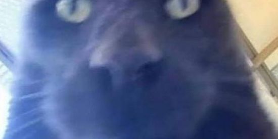 Imagem do grupo de WhatsApp アニメのアイコン🤍🔥