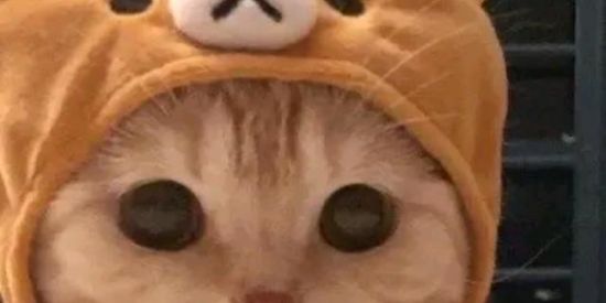 Imagem do grupo de WhatsApp W̶E̶B̶ ̶ ̶A̶M̶I̶Z̶A̶D̶E̶