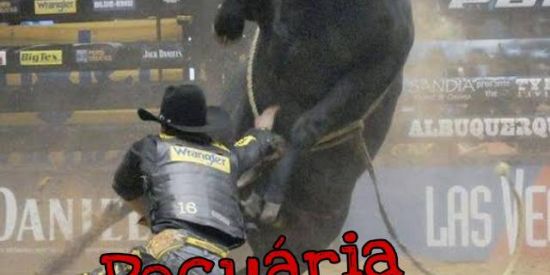 Imagem do grupo de WhatsApp Pecuária MG 🇧🇷🔥