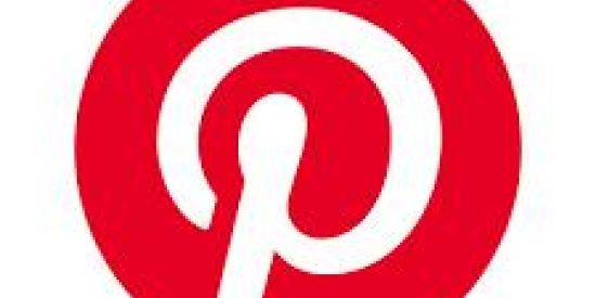 Imagem do grupo de WhatsApp PINTEREST BRASIL🇧🇷