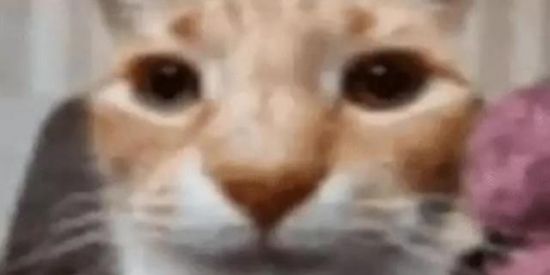 Imagem do grupo de WhatsApp Chat drive 🙀