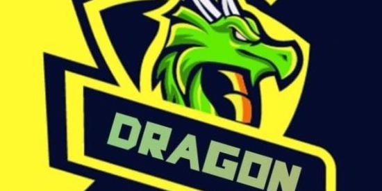 Imagem do grupo de WhatsApp 🐉Dɠ'ɳ🐉 ||• 🌈τrєiท σrg🌈