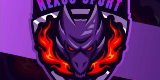 Imagem do grupo de WhatsApp NËXÖS SPÖRT
