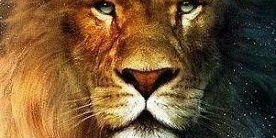 Imagem do grupo de WhatsApp CRIS✝️O VIVE 💫