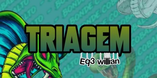 Imagem do grupo de WhatsApp 🐍³♚CB'ร♚¹>TRIAGEM EQ³