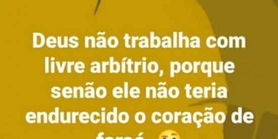 Imagem do grupo de WhatsApp Grupo teologia reformada