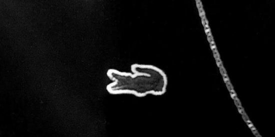 Imagem do grupo de WhatsApp 🐊