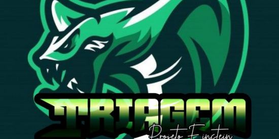 Imagem do grupo de WhatsApp 🐍TRIAGEM ♛εɳ'ร♛🐍