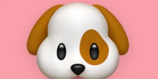 Imagem do grupo de WhatsApp Serviços Dog | FSA