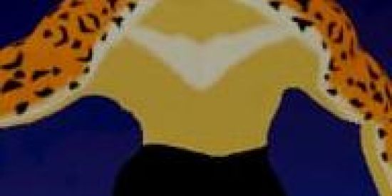 Imagem do grupo de WhatsApp Blox fruits