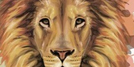 Imagem do grupo de WhatsApp desafie  seu mindset