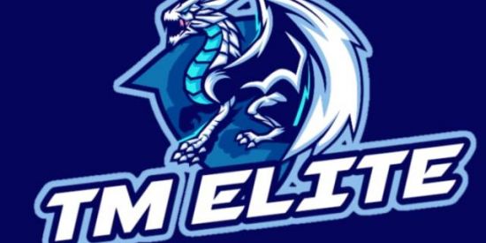 Imagem do grupo de WhatsApp TM  ELITE   ☂