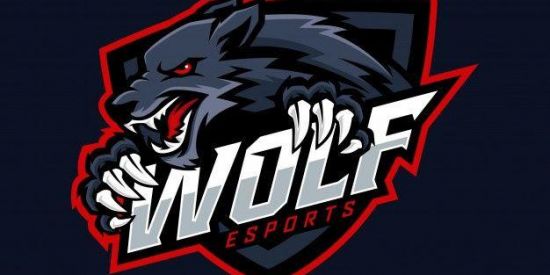 Imagem do grupo de WhatsApp ᴡᴏʟғ ᴇ-sᴘᴏʀᴛs ᴄʟᴀ👑