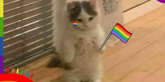 Imagem do grupo de WhatsApp TRAVESTIS🥰