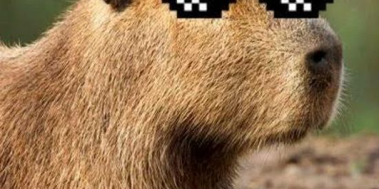 Imagem do grupo de WhatsApp CHAŤ DØ [RØNALD_ØFF]🥂🔱