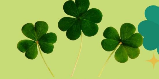 Imagem do grupo de WhatsApp Sorteria Premiada Cariri 🍀💰