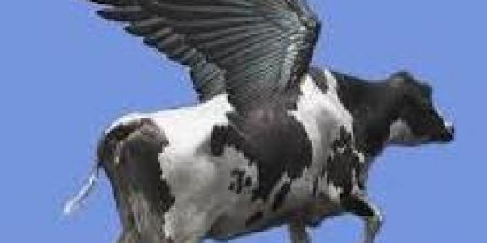 Imagem do grupo de WhatsApp Aleatório