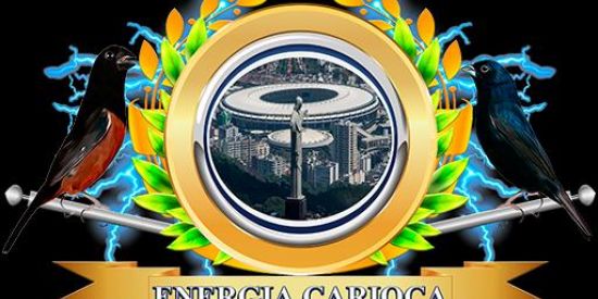 Imagem do grupo de WhatsApp Manejo de tiziu