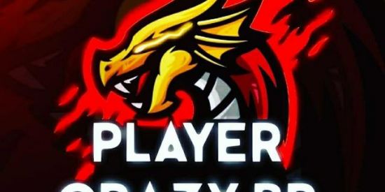 Imagem do grupo de WhatsApp PlayerCrazyBR