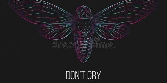 Imagem do grupo de WhatsApp ⬛BALLANTINES 2.0⬛