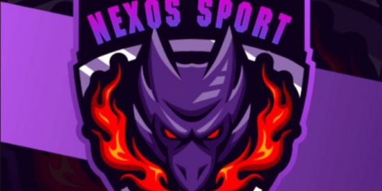 Imagem do grupo de WhatsApp Recrutamento Para nexos