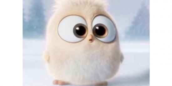 Imagem do grupo de WhatsApp ❄️Iᑕᕮ ᑕᒪᑌᗷ❄️