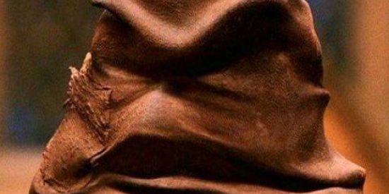 Imagem do grupo de WhatsApp 🦉🎩CHAPÉU SELETOR🎩🦉