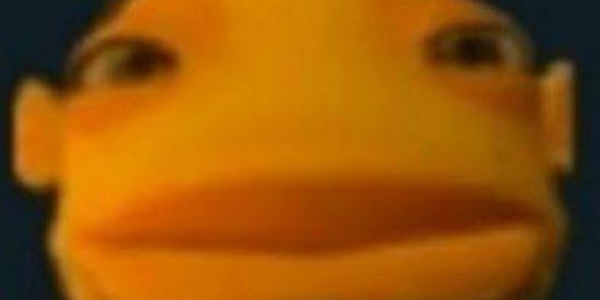 Imagem do grupo de WhatsApp Fi du Mauro