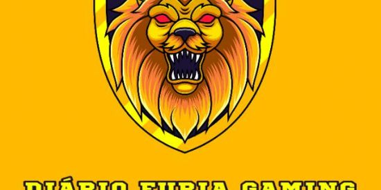Imagem do grupo de WhatsApp 🪁DIÁRIO FURIA GAMING 1.0🪁