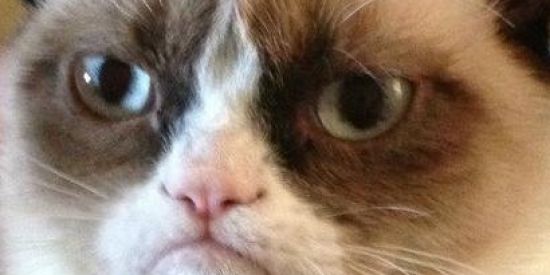 Imagem do grupo de WhatsApp Vinilandia🤡🥴