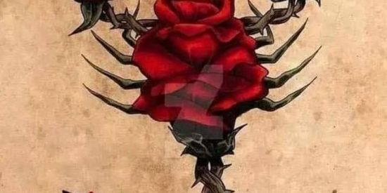 Imagem do grupo de WhatsApp ABC Do amor