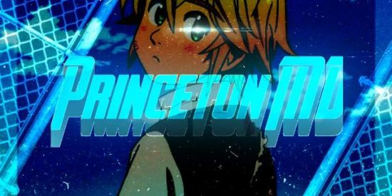 Imagem do grupo de WhatsApp 🗡️ REINO PRINCETON 🦎