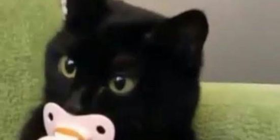 Imagem do grupo de WhatsApp Diggo😳