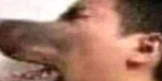 Imagem do grupo de WhatsApp Pernambucanas〽️