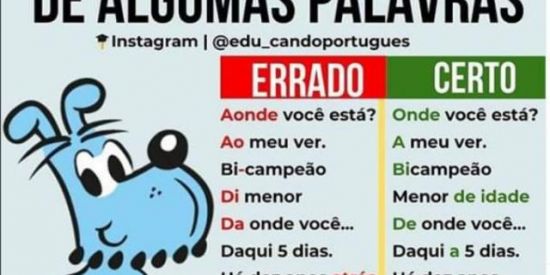 Imagem do grupo de WhatsApp Onde impera a loucura