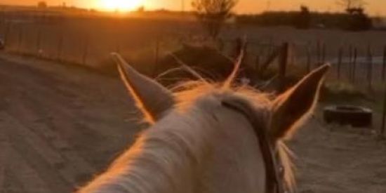 Imagem do grupo de WhatsApp Grupo de vaquejada 🏇🏇