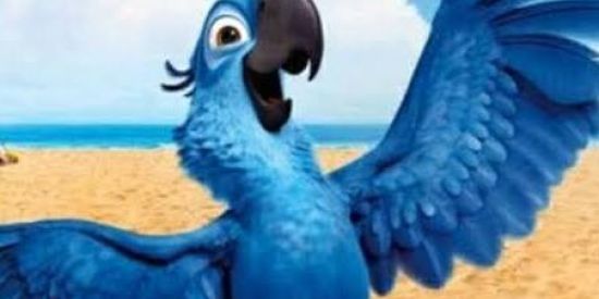 Imagem do grupo de WhatsApp VΔΜØŞ ΔΜΞǤΔŘ 😀