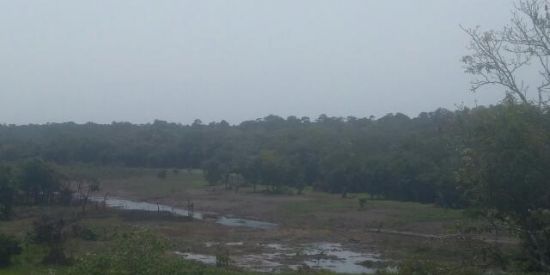 Imagem do grupo de WhatsApp Nova Terra do grupo