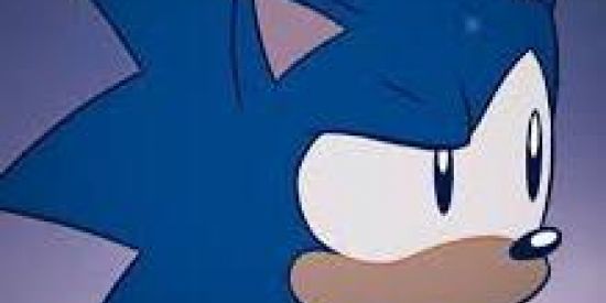 Imagem do grupo de WhatsApp Sonic forces