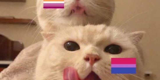 Imagem do grupo de WhatsApp GRUPO DE TRIAGEM 🏳️‍🌈🥰