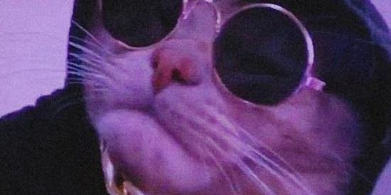 Imagem do grupo de WhatsApp 𝐀𝐦𝐢z𝐚d𝐞 𝘮7𝔬𝔣𝔣𖣘