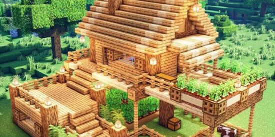 Imagem do grupo de WhatsApp Survival server