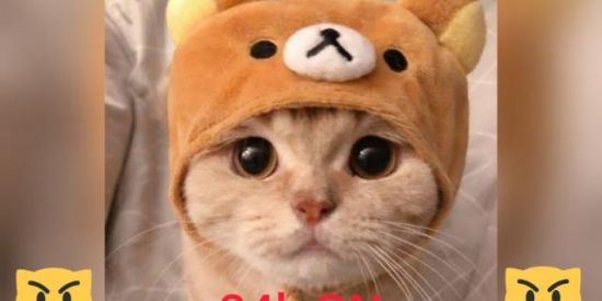 Imagem do grupo de WhatsApp Aluga-se bot para grupo wapp⛄❄️❄️❄️