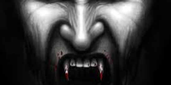 Imagem do grupo de WhatsApp Rede Vamp